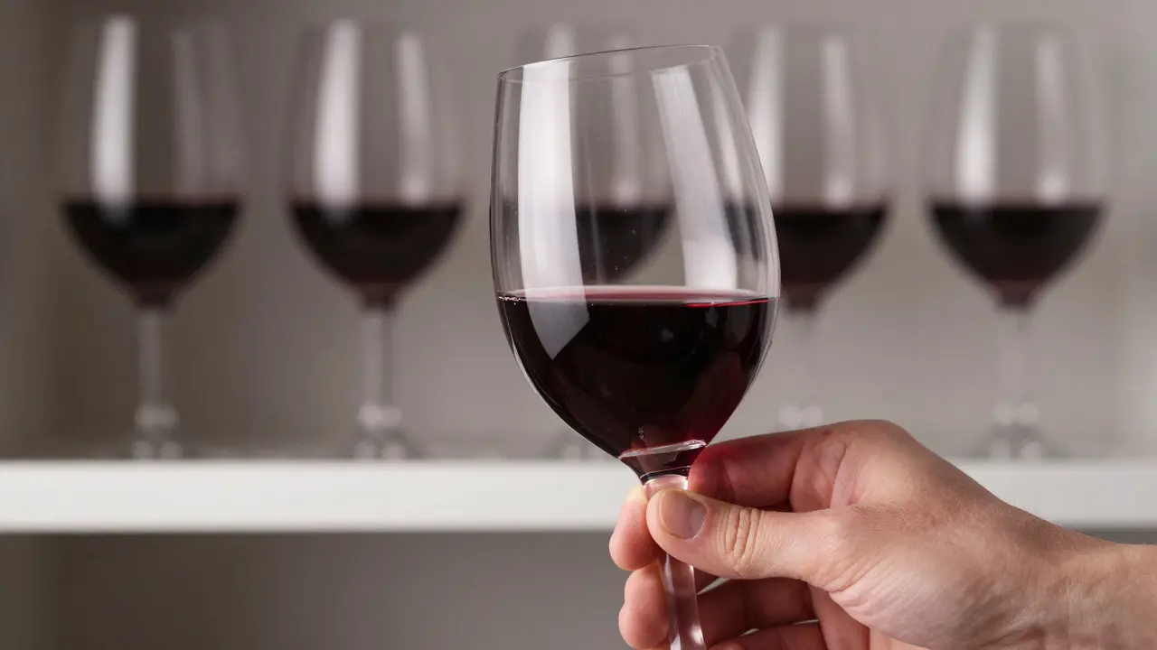 Mano sosteniendo una copa de cristal resistente con vino tinto, sin decoraciones, enfocada en la calidad y el uso real.